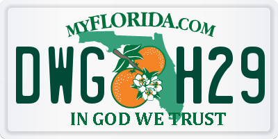 FL license plate DWGH29