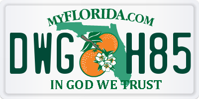 FL license plate DWGH85