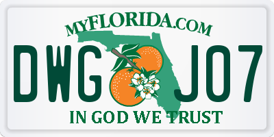 FL license plate DWGJ07