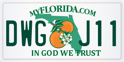 FL license plate DWGJ11
