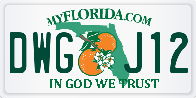 FL license plate DWGJ12