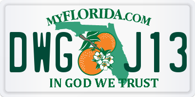 FL license plate DWGJ13