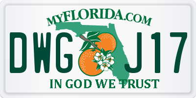 FL license plate DWGJ17