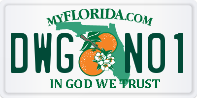 FL license plate DWGN01