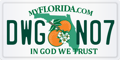 FL license plate DWGN07