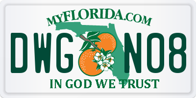 FL license plate DWGN08