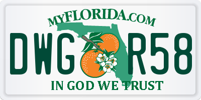 FL license plate DWGR58