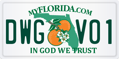 FL license plate DWGV01