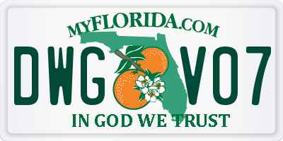 FL license plate DWGV07