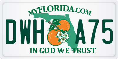 FL license plate DWHA75