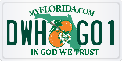 FL license plate DWHG01