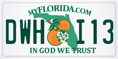 FL license plate DWHI13