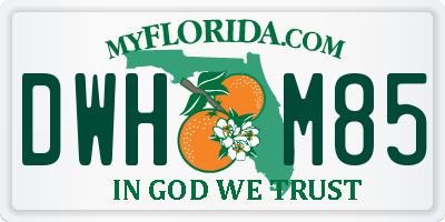 FL license plate DWHM85
