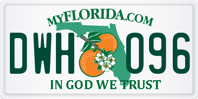 FL license plate DWHO96