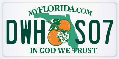 FL license plate DWHS07