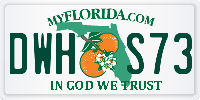 FL license plate DWHS73