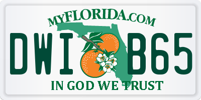 FL license plate DWIB65