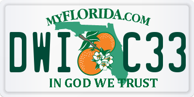 FL license plate DWIC33