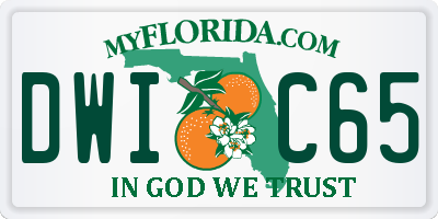 FL license plate DWIC65