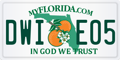FL license plate DWIE05