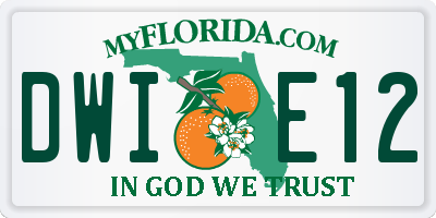 FL license plate DWIE12