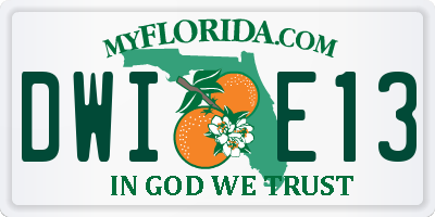 FL license plate DWIE13