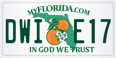 FL license plate DWIE17