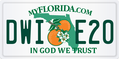 FL license plate DWIE20