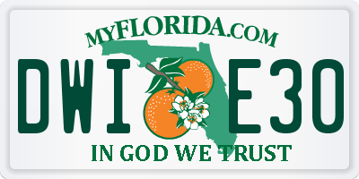 FL license plate DWIE30