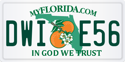 FL license plate DWIE56