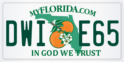 FL license plate DWIE65