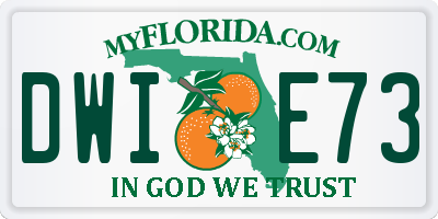 FL license plate DWIE73