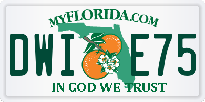 FL license plate DWIE75