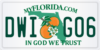 FL license plate DWIG06