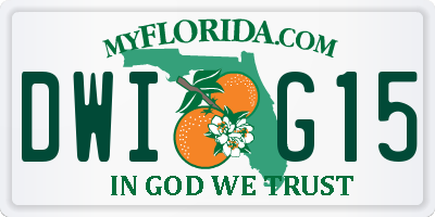 FL license plate DWIG15