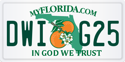 FL license plate DWIG25