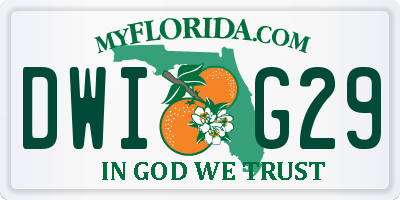 FL license plate DWIG29