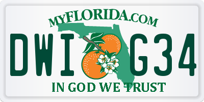 FL license plate DWIG34