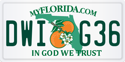 FL license plate DWIG36