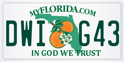 FL license plate DWIG43