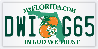FL license plate DWIG65