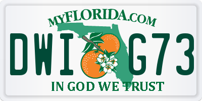FL license plate DWIG73