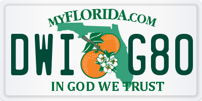 FL license plate DWIG80
