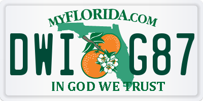 FL license plate DWIG87