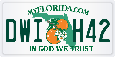 FL license plate DWIH42
