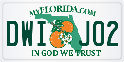 FL license plate DWIJ02