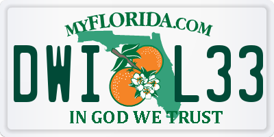 FL license plate DWIL33
