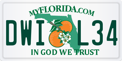 FL license plate DWIL34