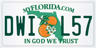 FL license plate DWIL57