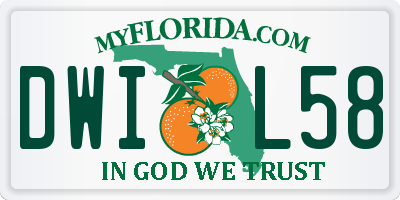 FL license plate DWIL58